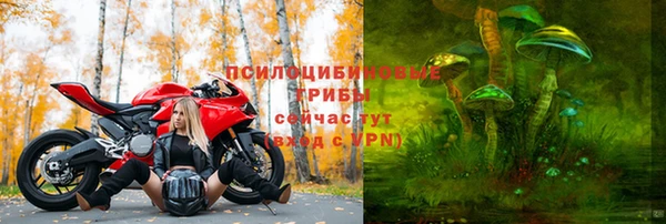 твердый Армянск
