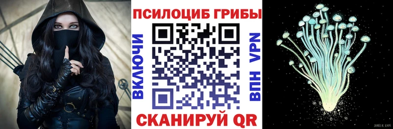 Псилоцибиновые грибы ЛСД  купить   ОМГ ОМГ как войти  Подпорожье 